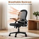 ErgoDesk Lite™